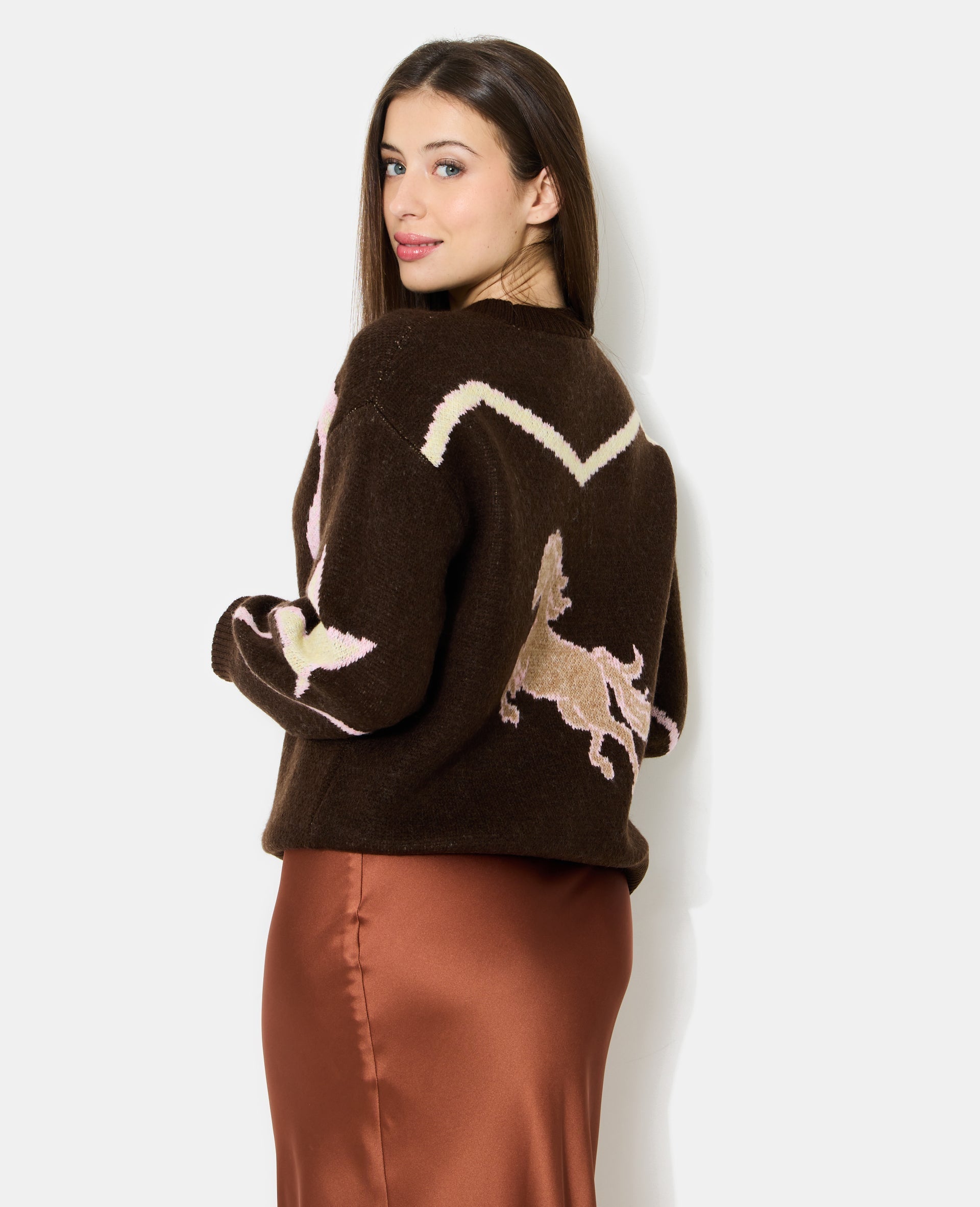 Pull col rond avec motifs fer à cheval, santiag, cheval