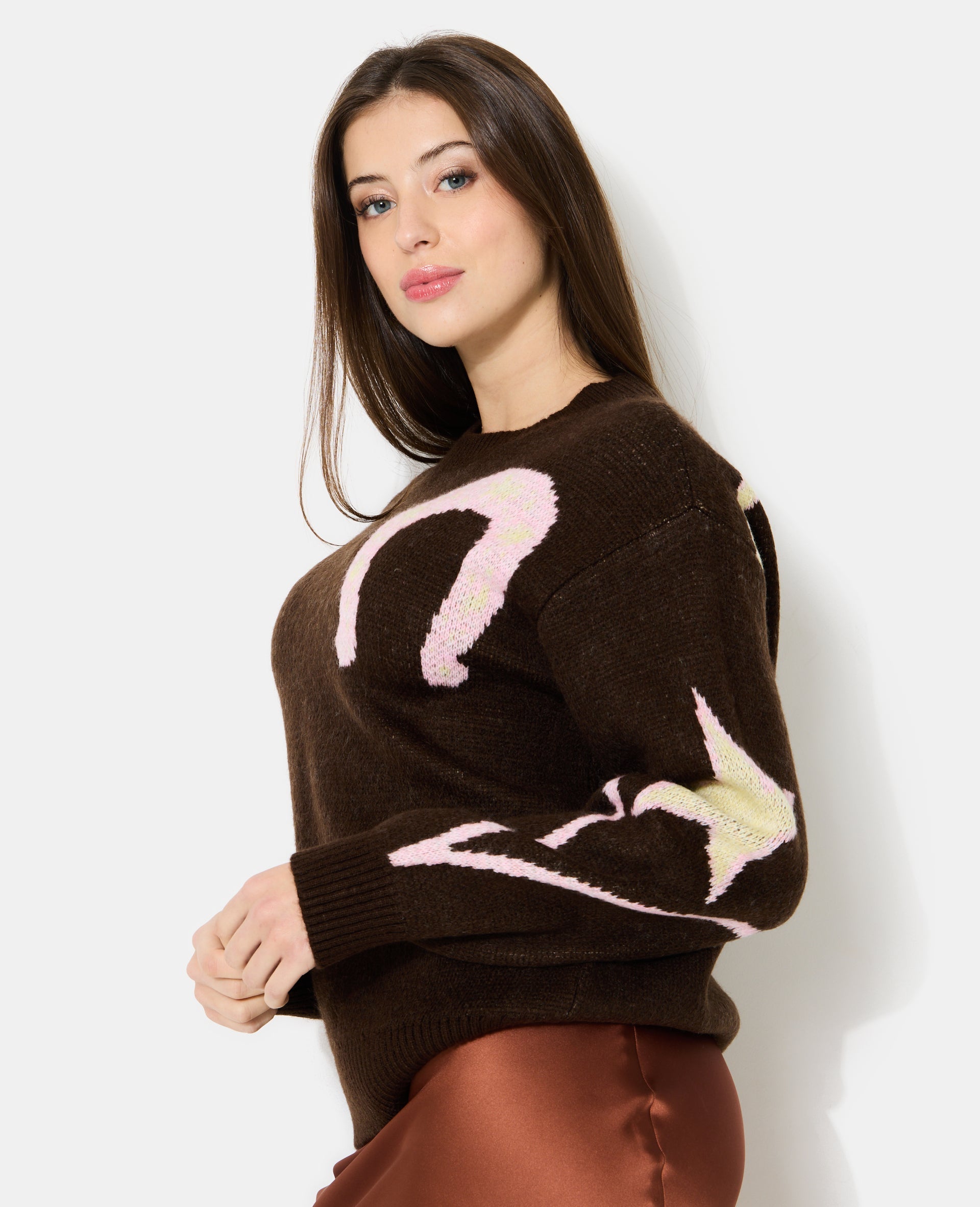 Pull col rond avec motifs fer à cheval, santiag, cheval