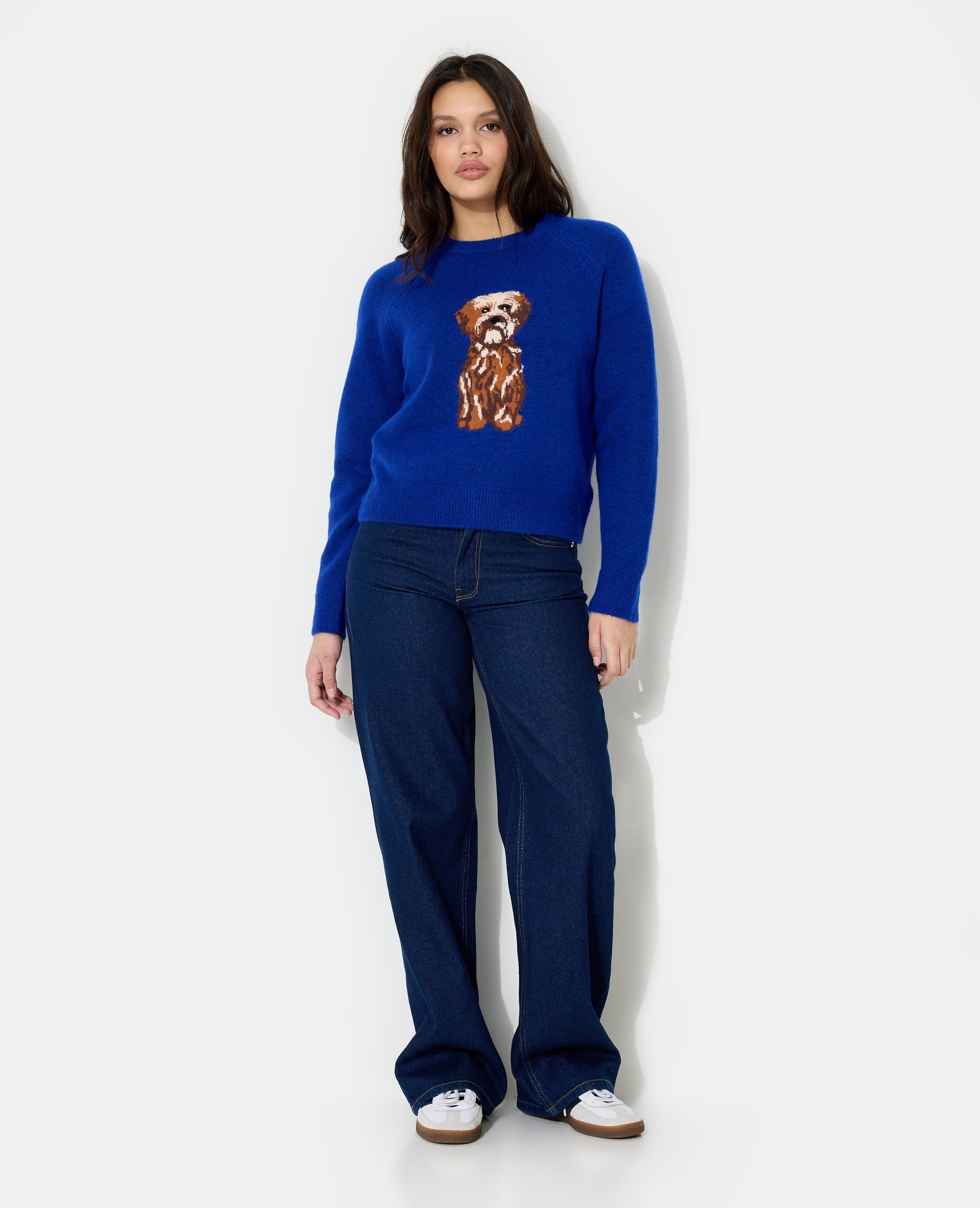 Pull en maille avec chien