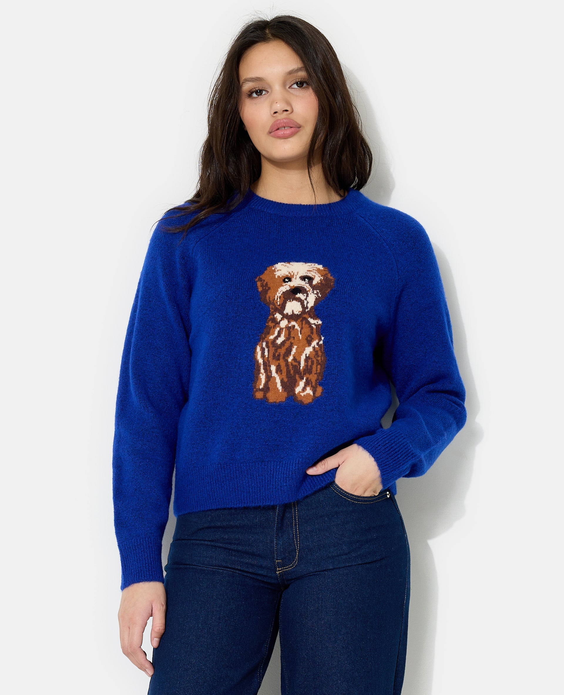 Pull en maille avec chien