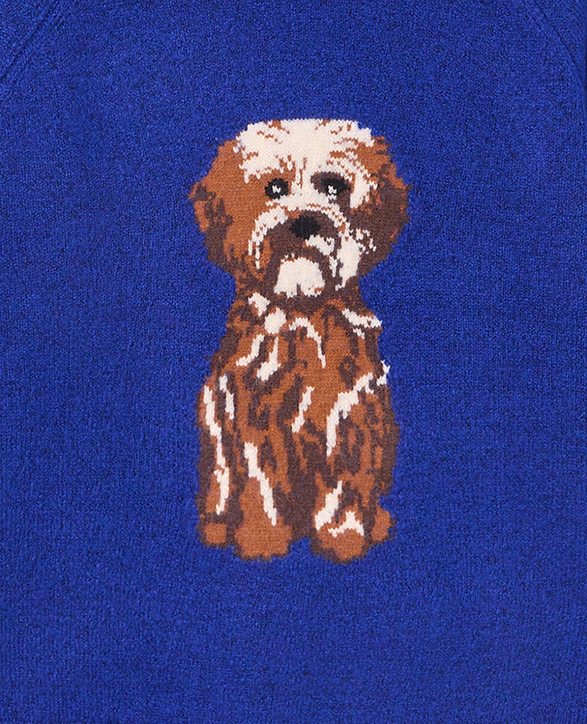 Pull en maille avec chien